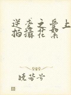 逆袭之爱上情敌拍摄花絮