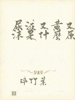 尿液又黄又有泡沫是什么原因