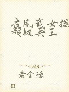 夜风武女总裁的超级兵王