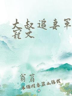 大叔追妻军婚甜宠文