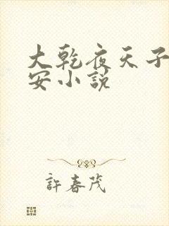 大乾夜天子赵祈安小说