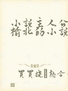 小说主人公叫苏榆北的小说名字