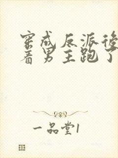 穿成反派后我扛着男主跑了小说