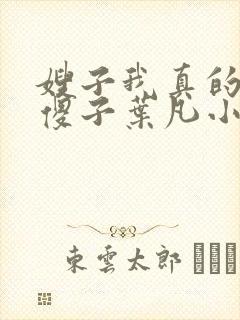 嫂子我真的不是傻子叶凡小说 原名