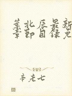 叶北辰最新更新章节目录免费阅读