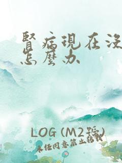 肾病现在没有尿怎么办