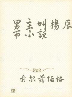 男主叫杨辰的都市小说