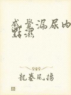 感觉漏尿内裤有点湿