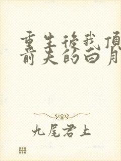 重生后我顶替了前夫的白月光结局