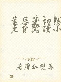 叶辰萧初然全文免费阅读小说最新章节