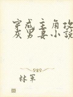 穿成主角攻的炮灰男妻小说