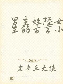 男主姓陆女主重生的古言小说