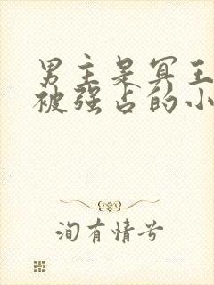 男主是冥王女主被强占的小说