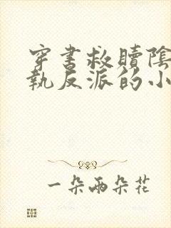 穿书救赎阴冷偏执反派的小说