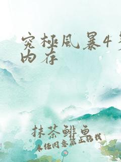 究极风暴4多少内存