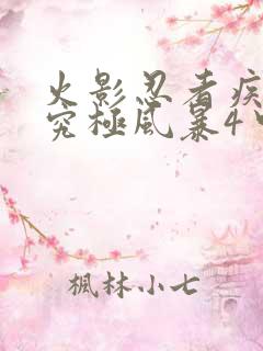 火影忍者疾风传究极风暴4中文