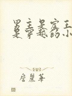 男主是宸王女主是穿越的小说