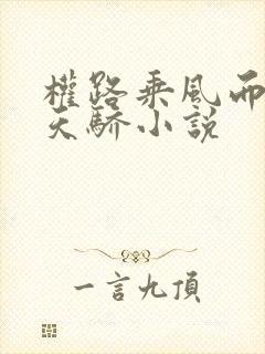 权路乘风而起化天骄小说