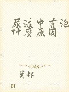 尿液中有泡沫是什么原因