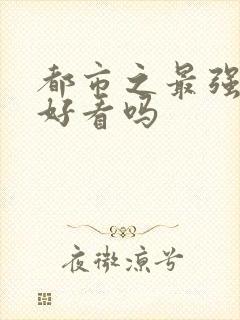 都市之最强狂兵好看吗