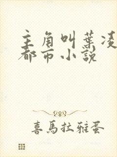 主角叫叶凌天的都市小说