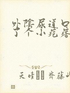 外阴尿道口处长了个小疙瘩