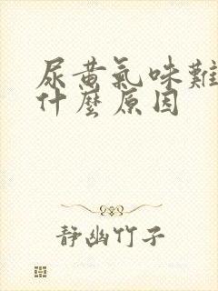 尿黄气味难闻是什么原因