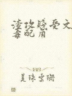 渣攻贱受文的恶毒配角