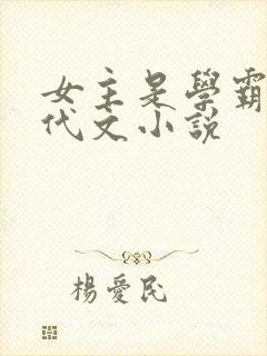 女主是学霸的年代文小说