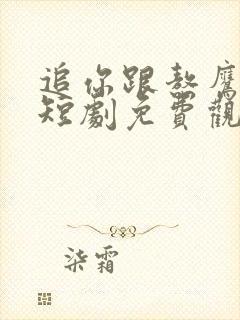 追你跟熬鹰似的短剧免费观看全集