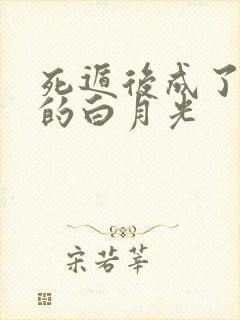 死遁后成了大佬的白月光