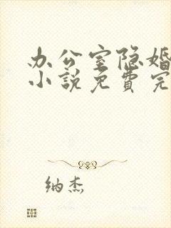 办公室隐婚轻黯小说免费完整版