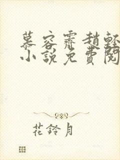 慕容霁赵轻丹的小说免费阅读全文