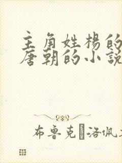 主角姓杨的穿越唐朝的小说