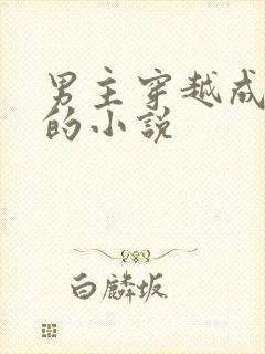 男主穿越成反派的小说