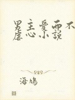 男主爱而不得的虐心小说