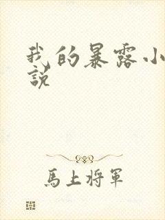 我的暴露小说小说