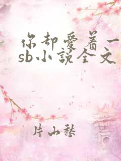 你却爱着一个他sb小说全文免费阅读