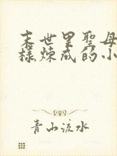 末世里圣母是怎样炼成的小说