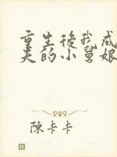 重生后我成了前夫的小舅娘