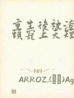 重生后被渣男对头宠上天短剧