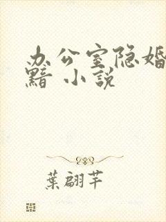 办公室隐婚 轻黯 小说