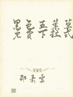 黑色五叶草漫画免费下拉式