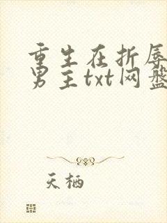 重生在折辱清冷男主txt网盘链接
