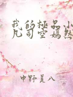 我的极品小姨叶凡司空嫣然