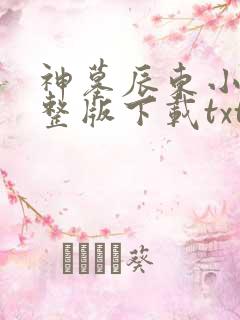 神墓辰东小说完整版下载txt