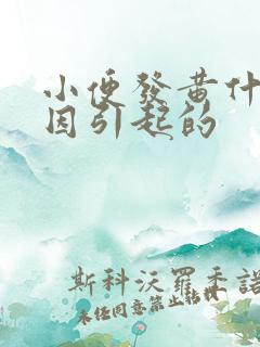 小便发黄什么原因引起的