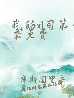 我的xl司第一季免费