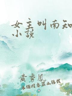 女主叫南知意的小说
