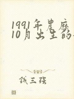 1991年农历10月出生的女命运